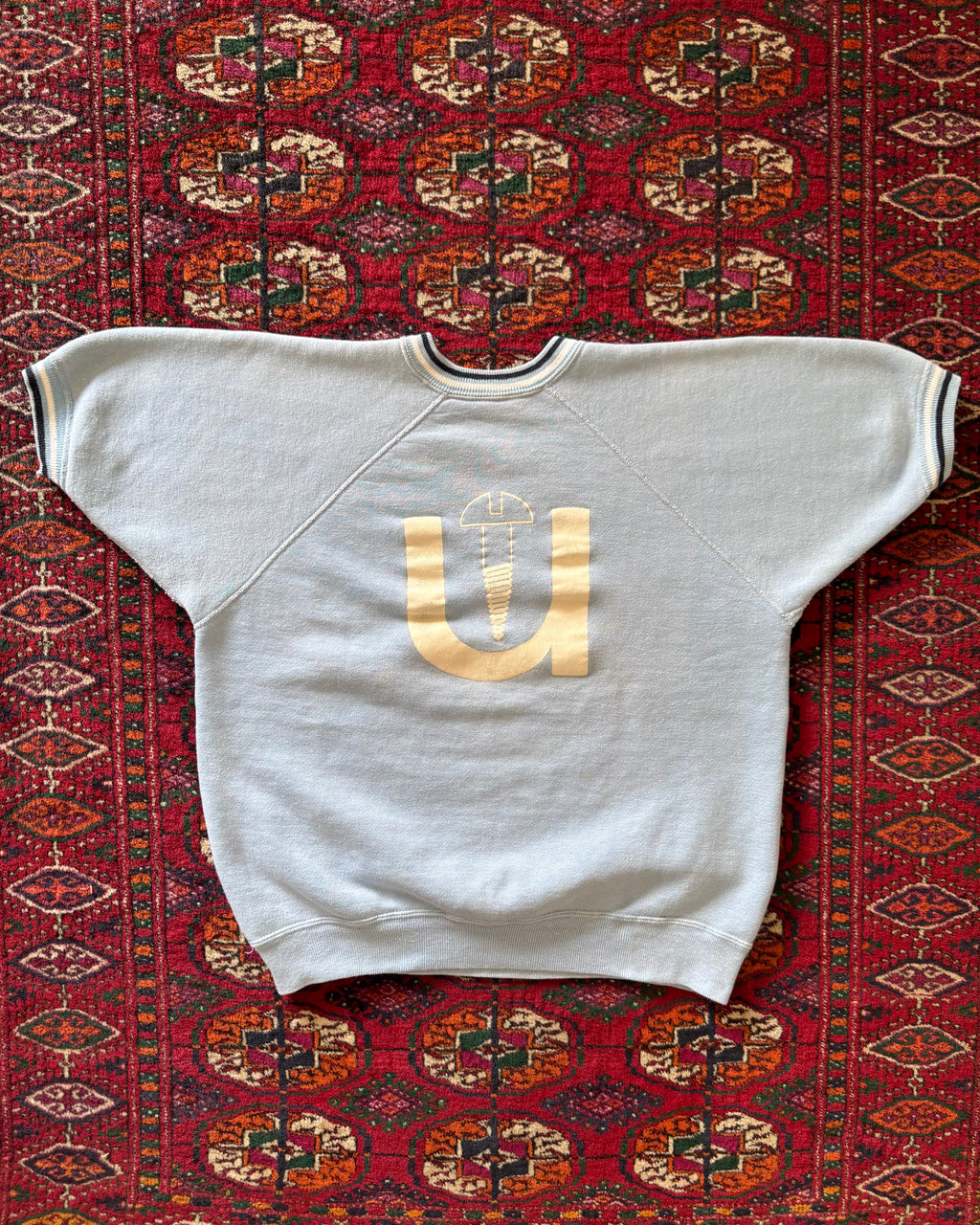 1960s baby blue “Screw U” short-sleeve flock print sweatshirt
