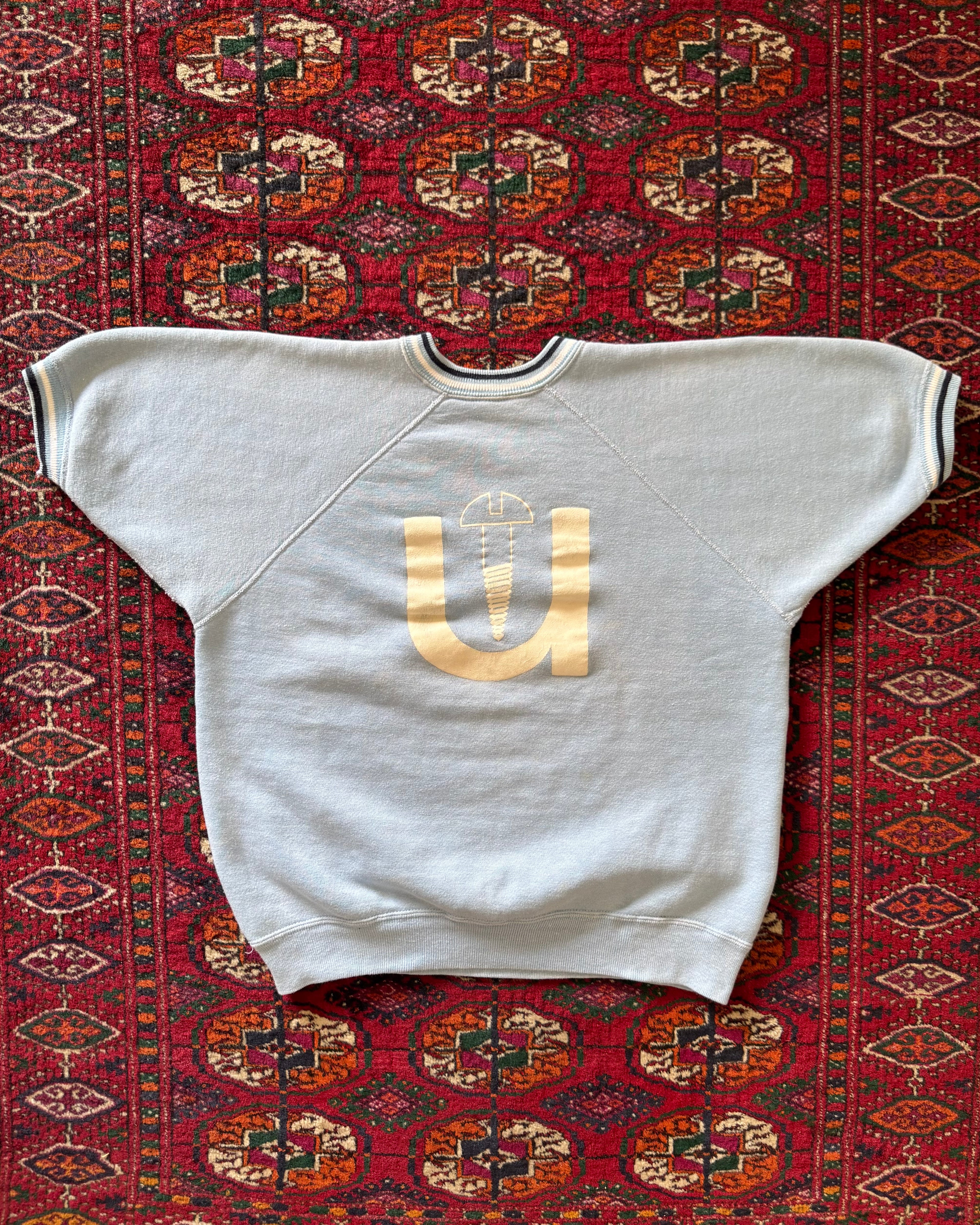 1960s baby blue “Screw U” short-sleeve flock print sweatshirt