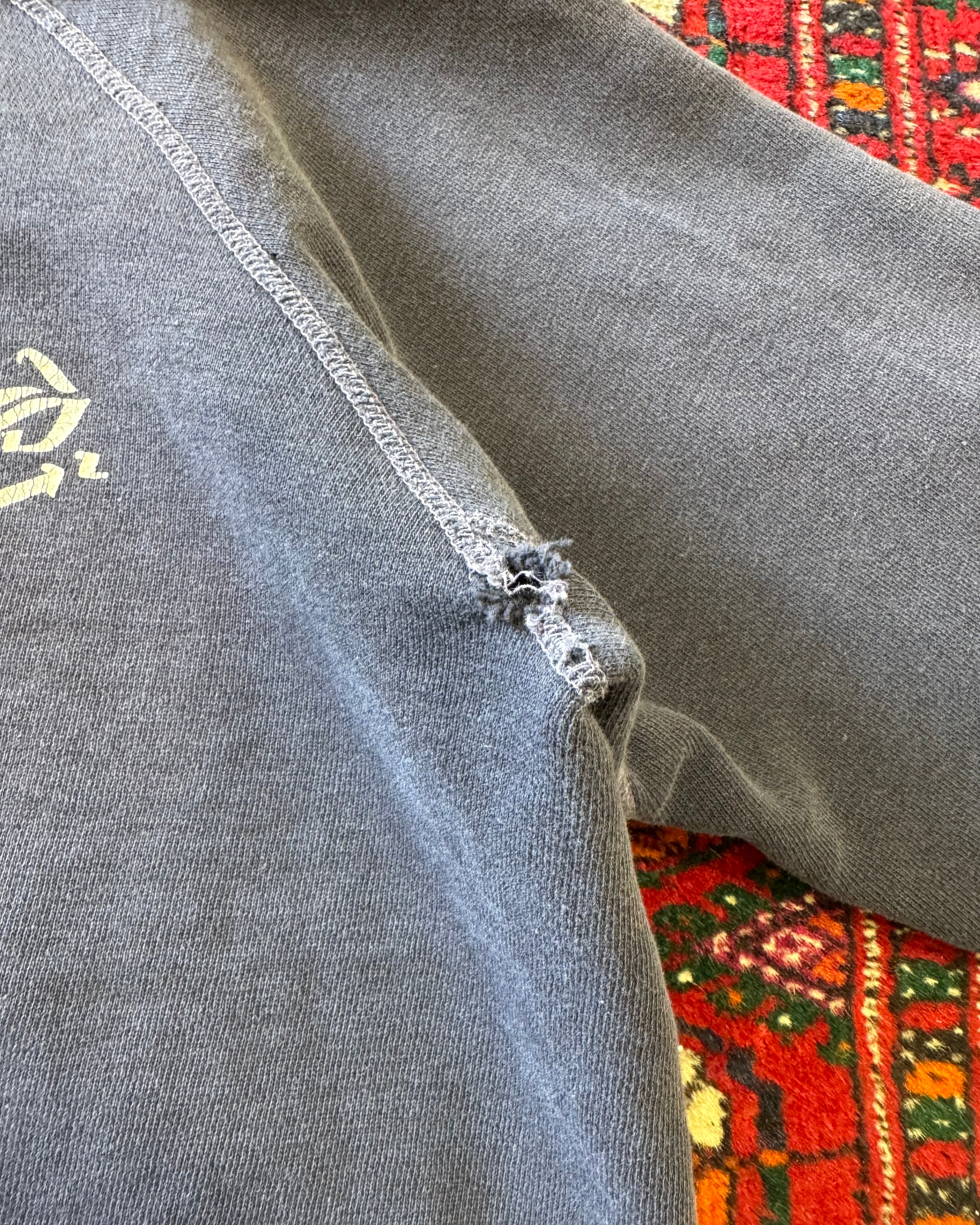 Vintage 1960s “Alpha Delta pi” frat distressed sweatshirt