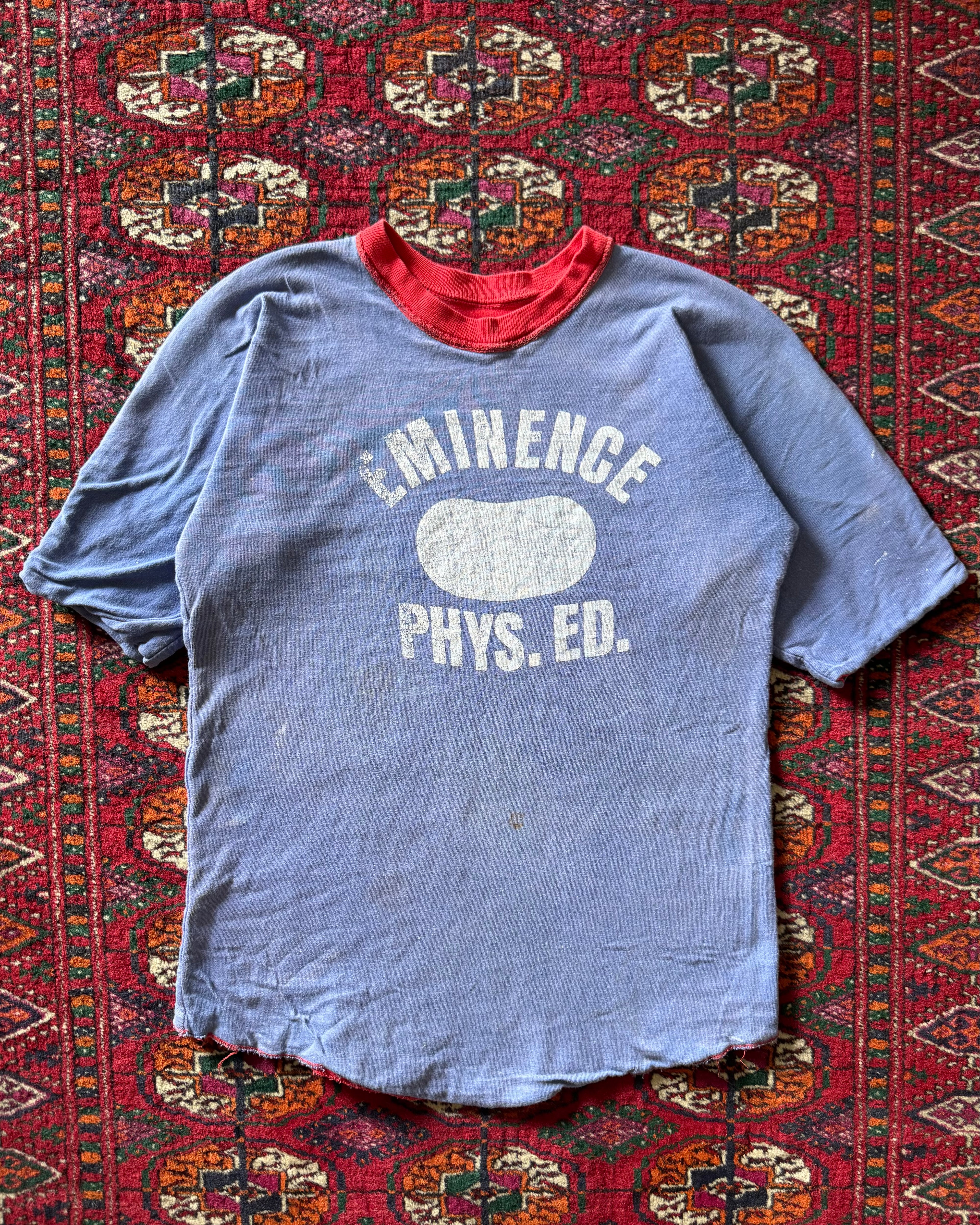1960s sunfaded double faced tee