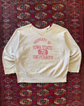 1960s property of Ohio State distressed champion reverse weave