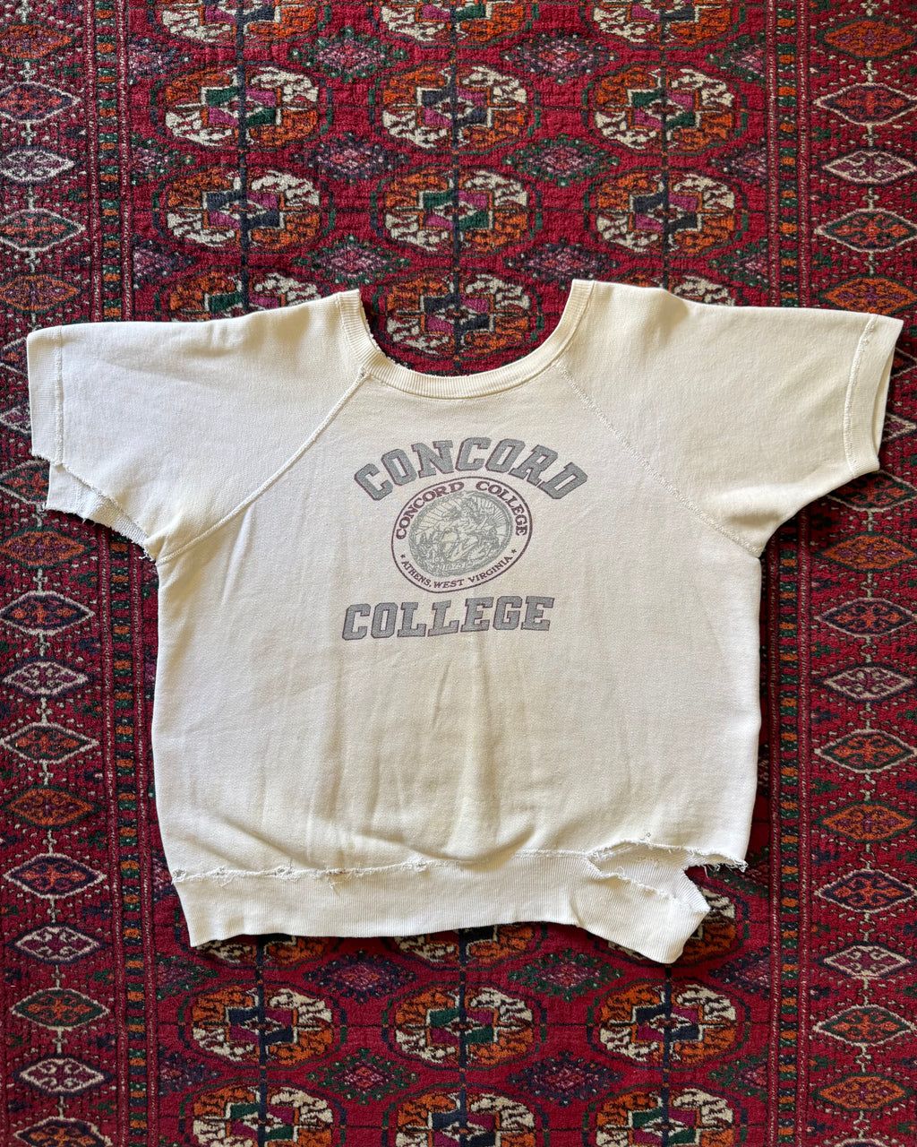 1960s distressed Concord collage sweat