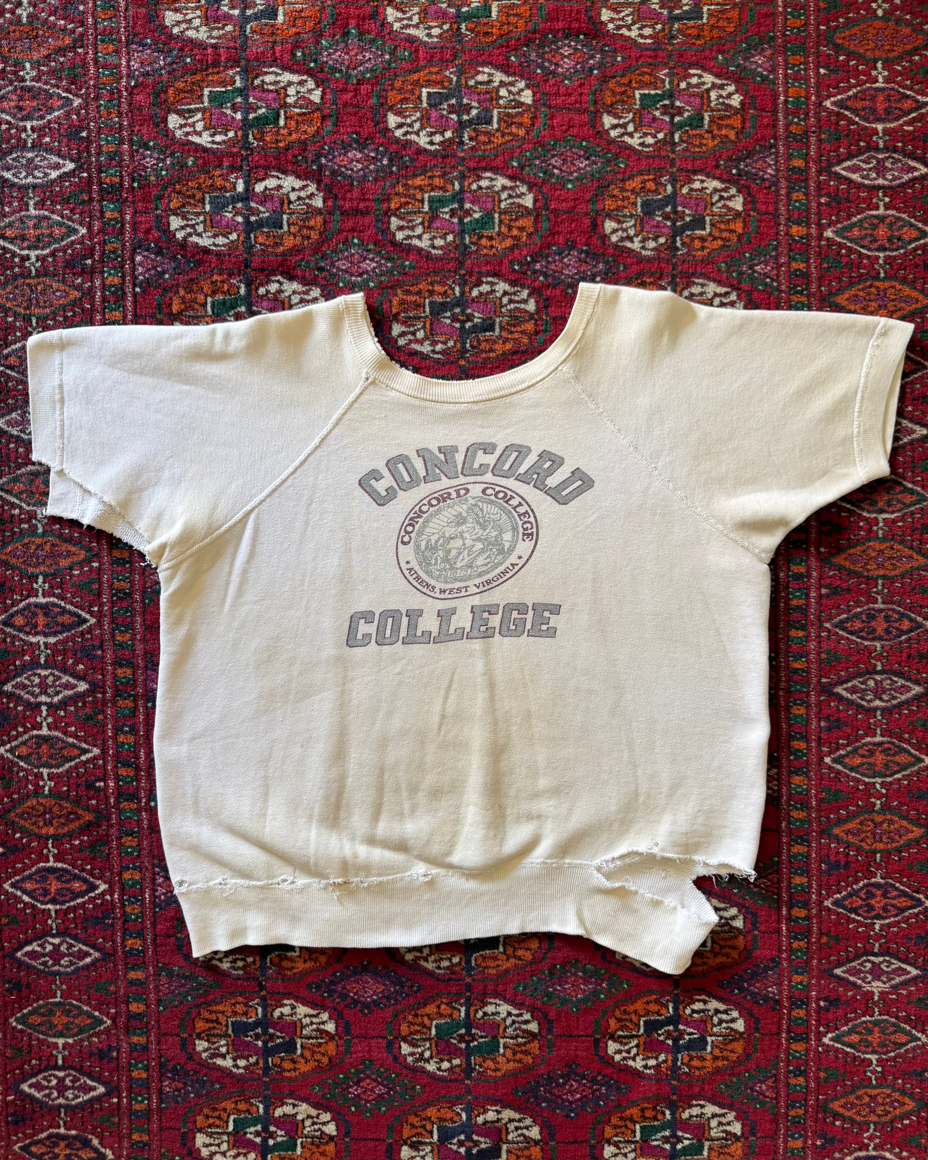 1960s distressed Concord collage sweat