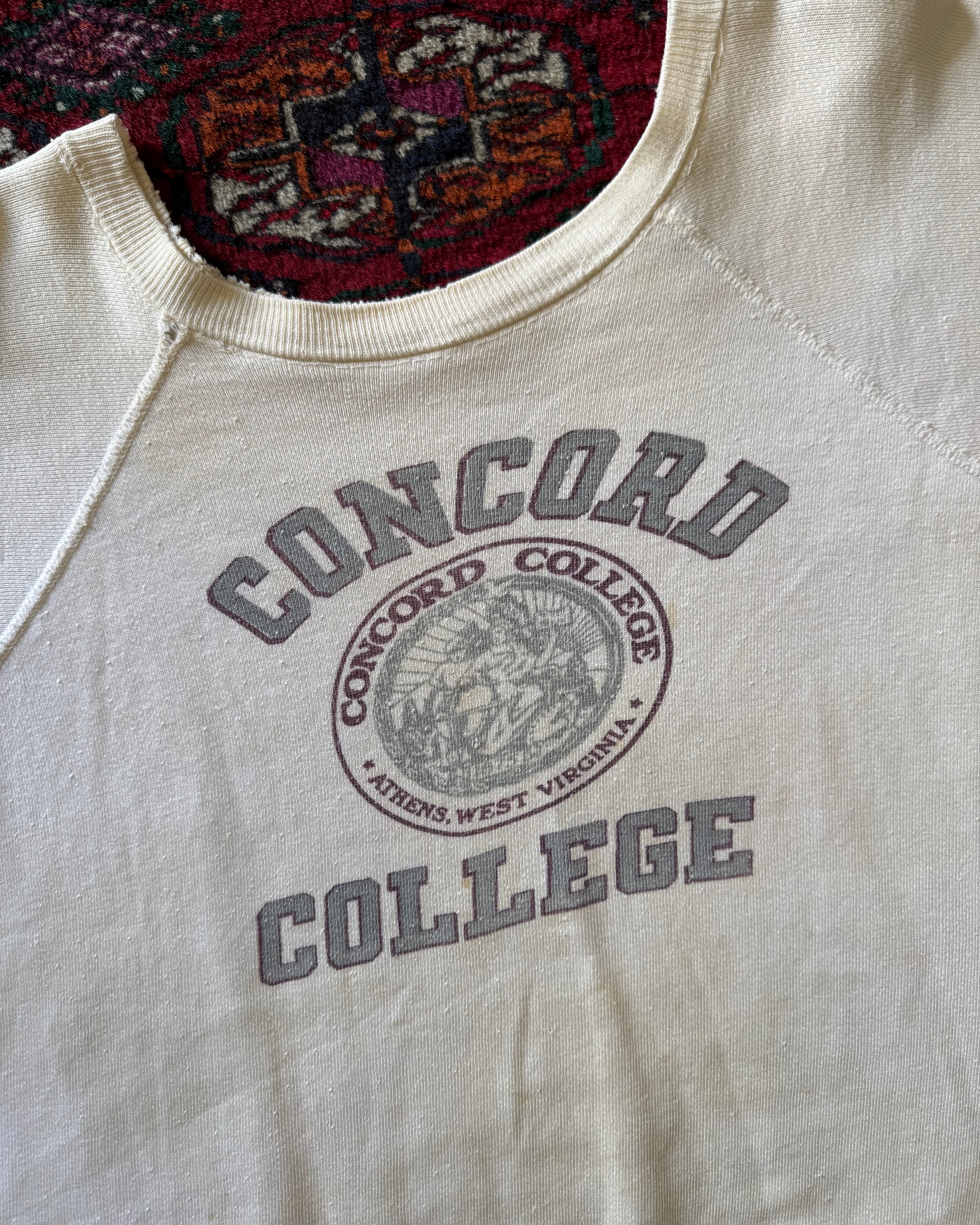 1960s distressed Concord collage sweat