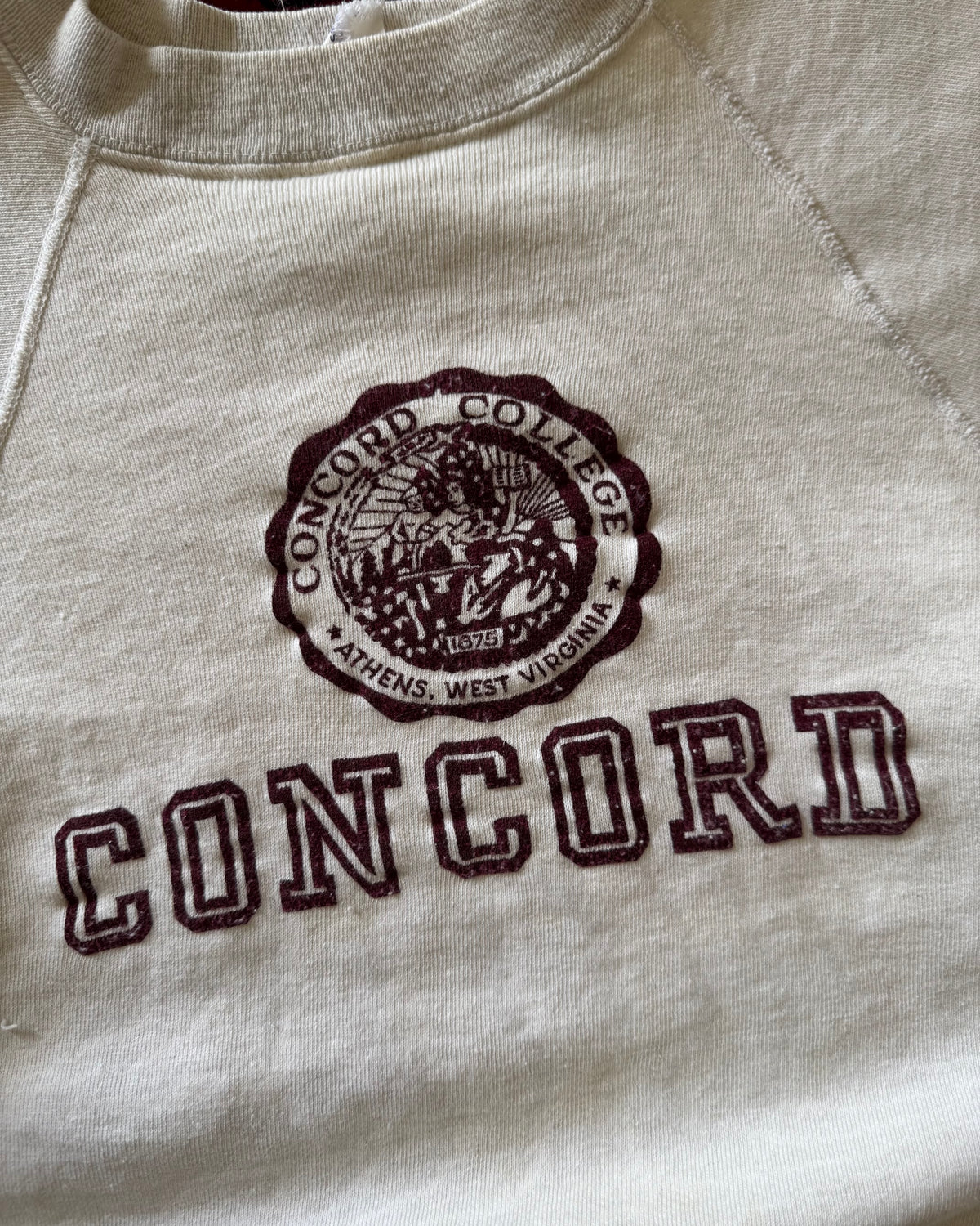 1950s two-toned Champion Running man Concord flocked sweat