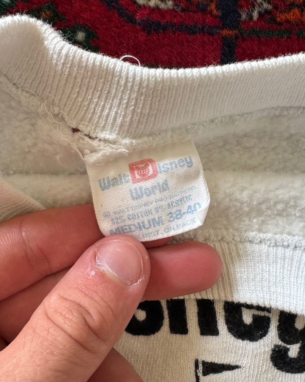 1970s Walt Disney World flocked sweatshirt