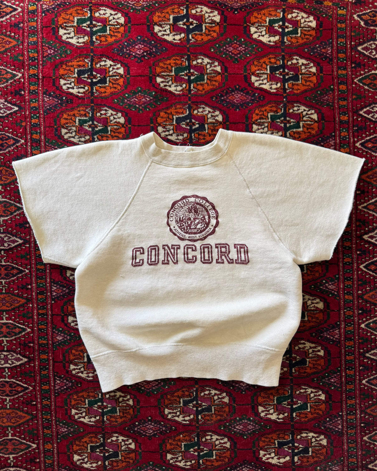 1950s two-toned Champion Running man Concord flocked sweat