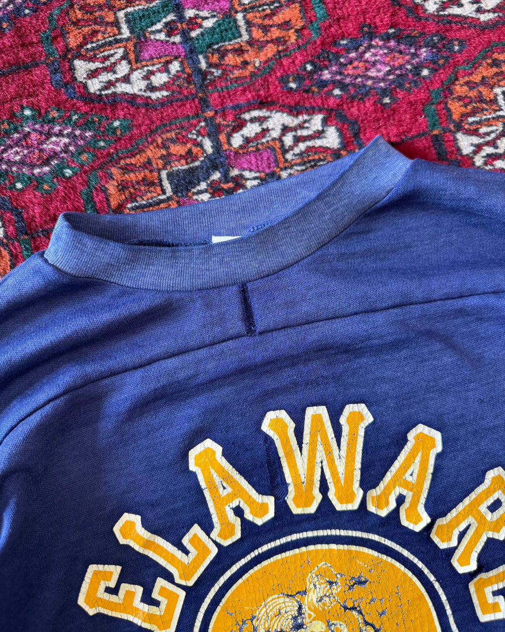 Vintage faded distressed, two tone Delaware blue hens jersey